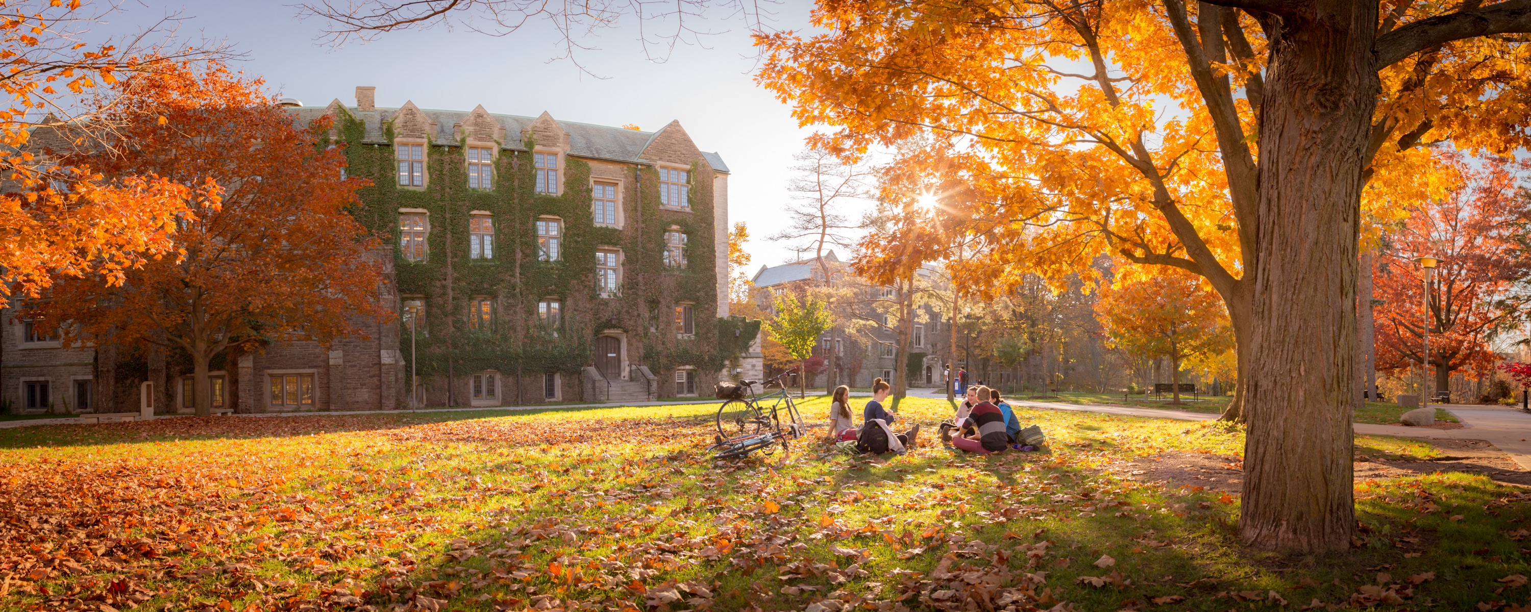 students on lawn